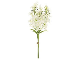   }[CbNsbN #1 WHITE 3{