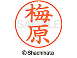 V`n^ l[ypl[ Vo[  ~ X-GPS-0398