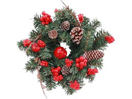 YDM  20cmRtH[g[X09 CBDTW-053