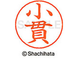 V`n^ l[ypl[ Vo[   X-GPS-0578