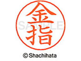 V`n^ l[ypl[ Vo[  w X-GPS-0746