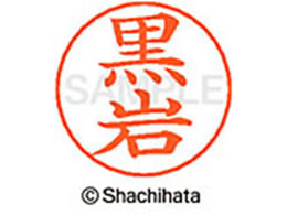 V`n^ l[ypl[ Vo[   X-GPS-0999