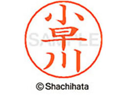 V`n^ l[ypl[ Vo[   X-GPS-1087