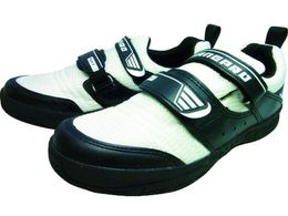 i v2 zCg 25.0 V1300W-25.0