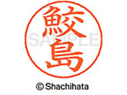 V`n^ l[ypl[ Vo[  L X-GPS-1253