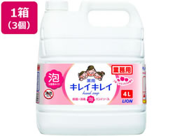 CInCW[ LCLC Anh\[v t[c~bNX 4L~3