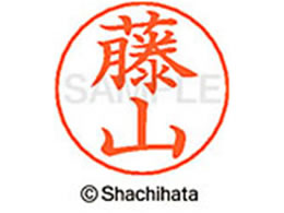 V`n^ l[ypl[ Vo[  R X-GPS-2450