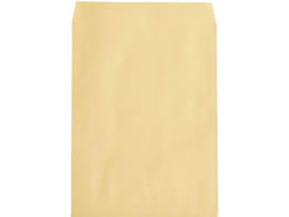 LOR[|[V p0 100g OKS[h 500 010102