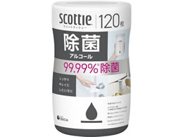 NVA XRbeB EFbgeBV[  AR[ 120 77133