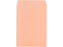 LOR[|[V p2 vCoV[ی압 sN 500