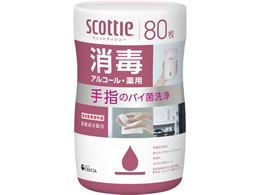 NVA XRbeB EFbgeBV[  AR[ 80 77149