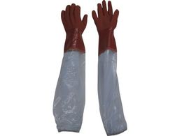 rjX^[/rJo[t rjX^[rJo[t\tg