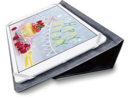 GR ^ubgpP[X yz_[8.5`11.5C` TB-10SPG2LBK