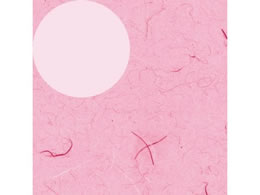 wCR[  S ӂ sN 100 002358400