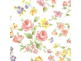 wCR[  S }lXN 100 002351500