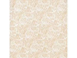 wCR[   OCXt 50 002401640