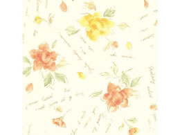 wCR[  S |Gbg 50 002417810