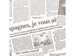 wCR[  ˓ ^[t[ Œ 100 002335561