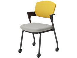 RN cCX vbeB LX^[^Cv K17B22CGE21S2