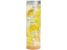 vۍHƏ n[oEtOXr[Y VgXEvW[