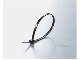 �w���}���^�C�g��/�K���o���b�N �����O���p