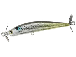 fI AXXsxCg60 CCC3237 CibR