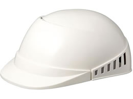 ~hS yƖX SCL-100A \tBAzCg