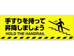 �Ώ\�� �肷��������ď��~���܂��傤 �H��-601D