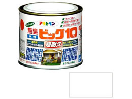 �A�T�q�y�� �����r�b�O10���p�r 1�^5L 216 ��