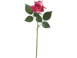 roH|  VE-6722 j[GU[ r[eB[