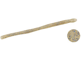 fI AXON[[5.8 F030 XWGr