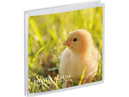 ZLZC ~j|P tHgAo  ܂TCY 20