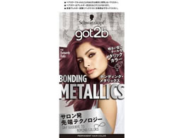 wP got2b {fBOE^bNX wAJ[ o[KfBr[