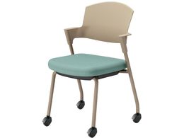 RN cCX vbeB LX^[^Cv K17Z21CG39X2