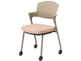 RN cCX vbeB LX^[^Cv K17Z21CG9GX2