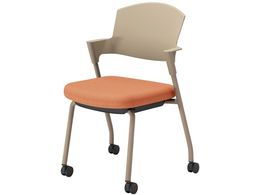 RN cCX vbeB LX^[^Cv K17Z21CW0YX2