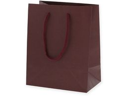 wCR[ 񂰎 J[`[obO 20-12 GW 10