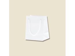 wCR[ 񂰎 uCgobO T-5  10 006143300