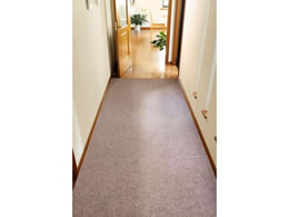 ���� �z�� �L���~�}�b�g