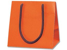 wCR[ 񂰎 uCgobO MW DIW }bg^Cv 10