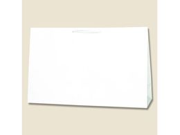 wCR[ 񂰎 L`[obO BR-1 n 10