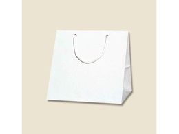 wCR[ 񂰎 uCgobO C1  10 006459500