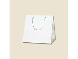 wCR[ 񂰎 uCgobO C2  10 006459600