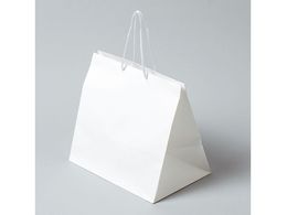 wCR[ 񂰎 AWobO L n 10 006441100