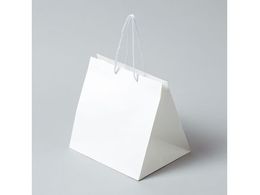 wCR[ 񂰎 AWobO M n 10 006441101