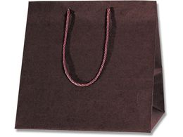 wCR[ 񂰎 J[AWobO M Œ 10