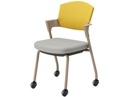 RN cCX vbeB LX^[^Cv K17Z22CGE21S2