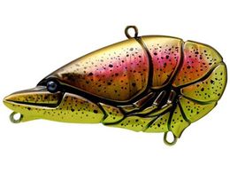 issei GCUoCu 67 #50 Vbh(sN