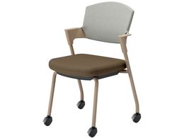 RN cCX vbeB LX^[^Cv K17Z22CGM6E22