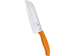 Victorinox FCOvX IW 6.8526.17L9E